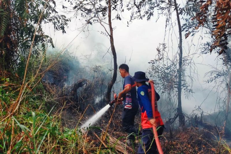 BMKG deteksi 64 titik panas di Kaltim BMKG deteksi 64 titik panas di Kaltim