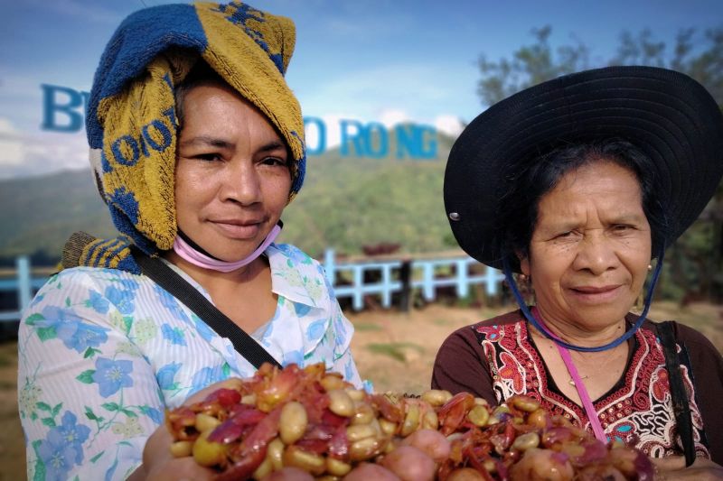 Bupati Kupang mengajak para wisatawan untuk menikmati liburan Natal di Labuan Bajo Bupati Kupang mengajak para wisatawan untuk menikmati liburan Natal di Labuan Bajo