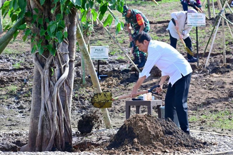 Presiden RI tanam pohon bersama masyarakat Embung Anak Munting NTT Presiden RI tanam pohon bersama masyarakat Embung Anak Munting NTT