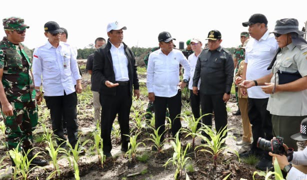 Berkunjung ke Palangka Raya, Wamenhan M. Herindra tinjau lokasi food estate Berkunjung ke Palangka Raya, Wamenhan M. Herindra tinjau lokasi food estate