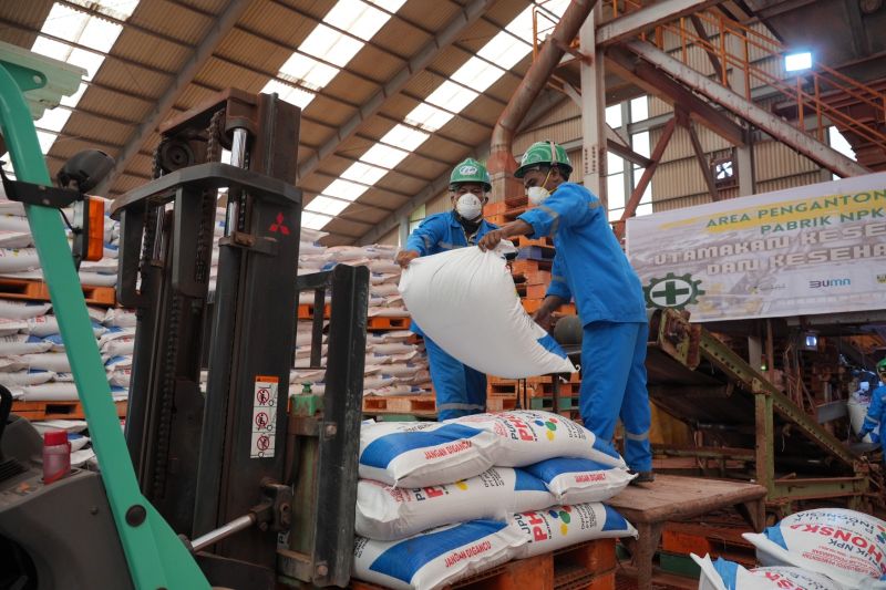 Stok pupuk urea subsidi capai 200.682 ton Stok pupuk urea subsidi capai 200.682 ton