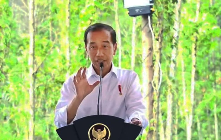 Kawasan Istana Presiden di IKN ditanami tabebuya dan jakaranda Kawasan Istana Presiden di IKN ditanami tabebuya dan jakaranda