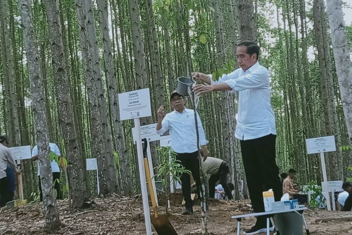 Presiden katakan Ibu kota negara baru kembalikan hutan tropis Kalimantan