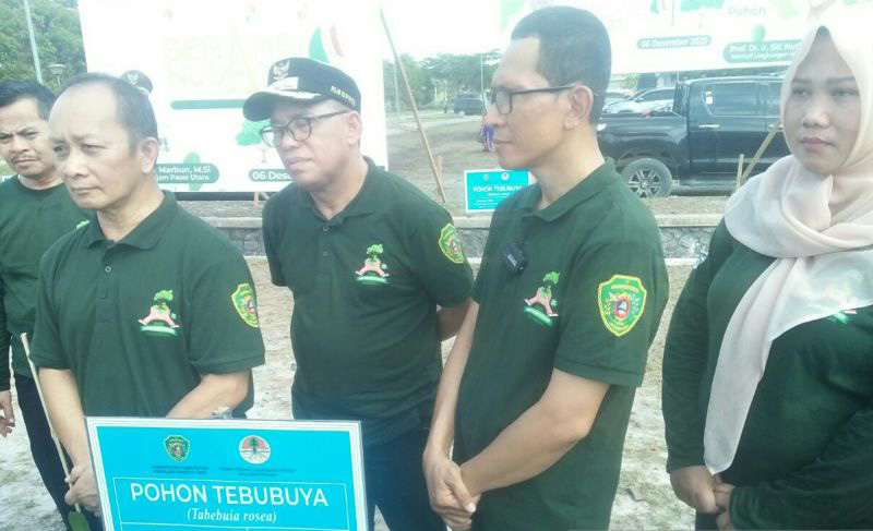 KLHK sebut keberadaan pohon dapat tingkatkan daya dukung alam KLHK sebut keberadaan pohon dapat tingkatkan daya dukung alam
