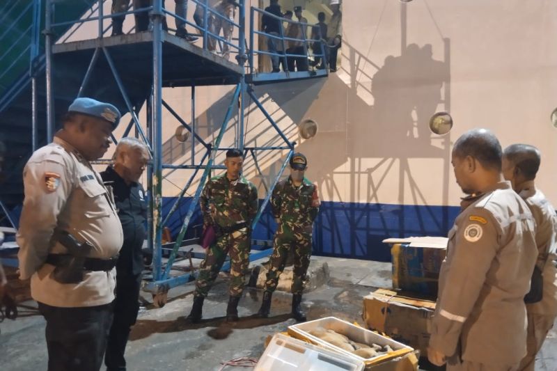 Karantina Maluku amankan daging anjing ilegal Karantina Maluku amankan daging anjing ilegal