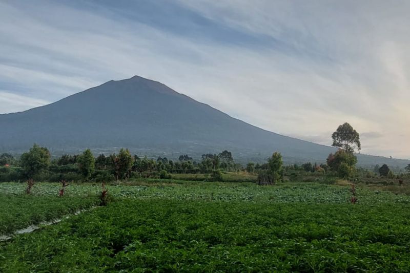 Balai Besar TNKS batasi pendakian Gunung Kerinci Balai Besar TNKS batasi pendakian Gunung Kerinci