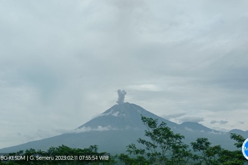 Gunung Semeru kembali erupsi dengan tinggi letusan 600 meter Gunung Semeru kembali erupsi dengan tinggi letusan 600 meter