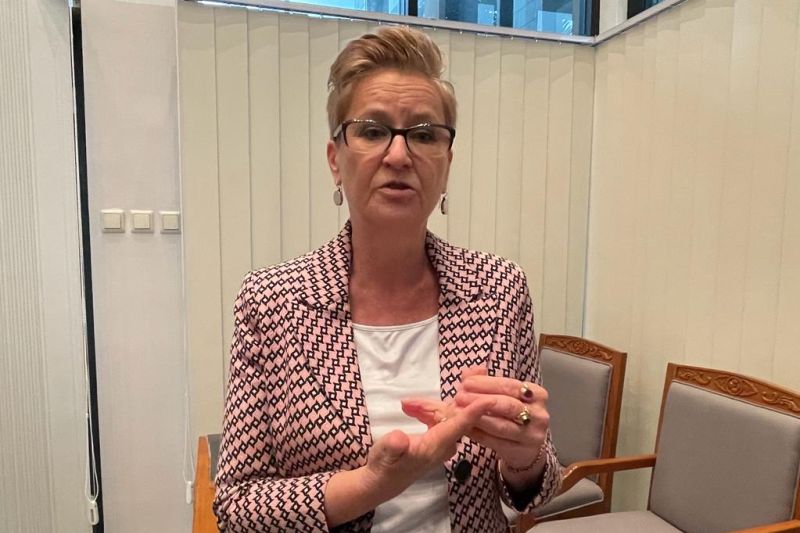 Dubes Beata sebut ekonomi jadi prioritas hubungan Polandia-Indonesia