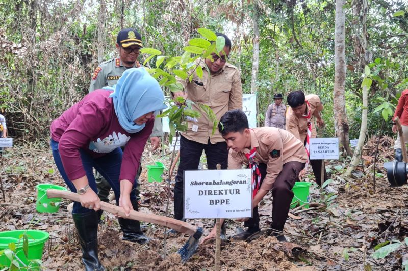 KLHK sebut lahan basah punya peran memitigasi perubahan iklim