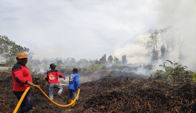 Kalimantan Tengah siaga mengantisipasi kebakaran hutan dan lahan