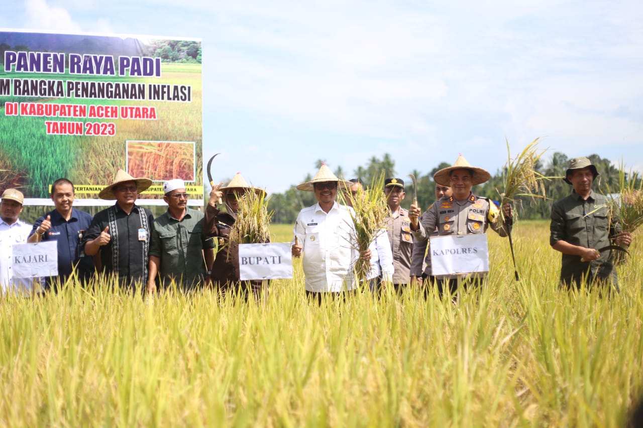 Pj Bupati Aceh Utara turun ke sawah lakukan panen raya bersama petani Paya Bakong Pj Bupati Aceh Utara turun ke sawah lakukan panen raya bersama petani Paya Bakong