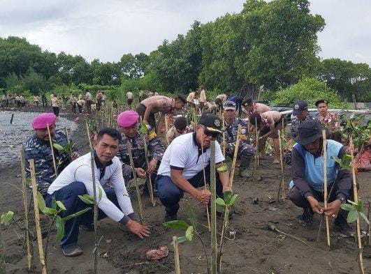 Lanal Tegal dan Pokdarwis tanam 2.000 mangrove di Pantai Pulo Kodok Lanal Tegal dan Pokdarwis tanam 2.000 mangrove di Pantai Pulo Kodok