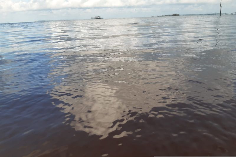 Pantai Trikora Bintan tercemar limbah Pantai Trikora Bintan tercemar limbah