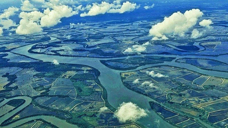 Kaltara siap suplai komoditas perikanan andalan untuk IKN Nusantara