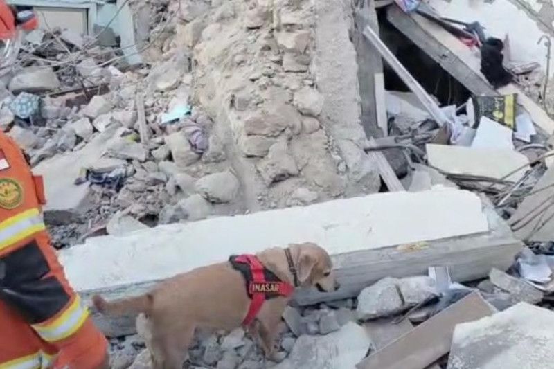 K9 Polri cari korban gempa Turki di Kota Hatay K9 Polri cari korban gempa Turki di Kota Hatay