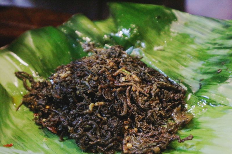 Hidangan unik nyale khas Lombok, hanya ada sekali dalam setahun Hidangan unik nyale khas Lombok, hanya ada sekali dalam setahun