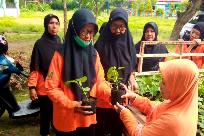 Pemko Kediri bagikan 1.000 bibit sayur ke sekolah