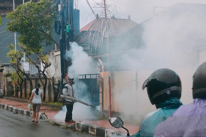 Dinkes Denpasar ajak masyarakat aktif pantau jentik nyamuk