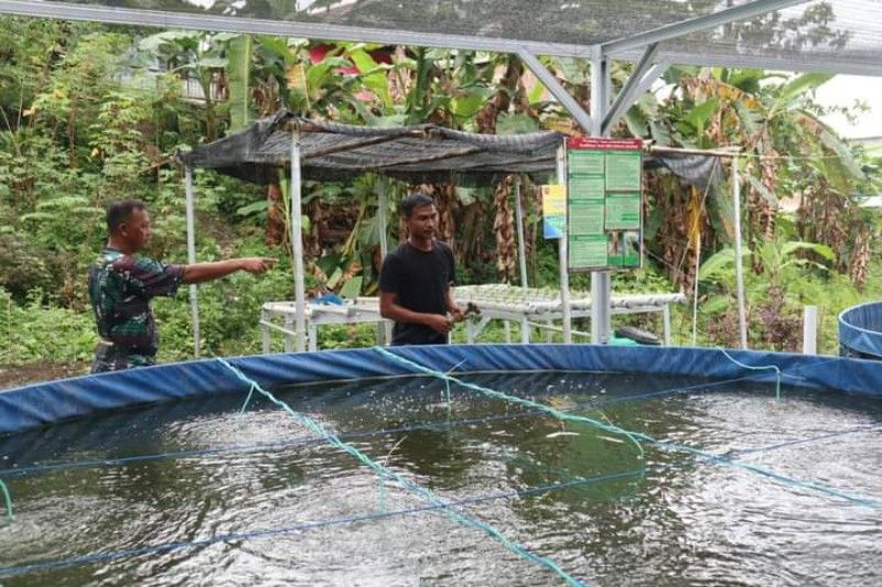 Kodim Mamuju kembangkan ikan Nila Kodim Mamuju kembangkan ikan Nila