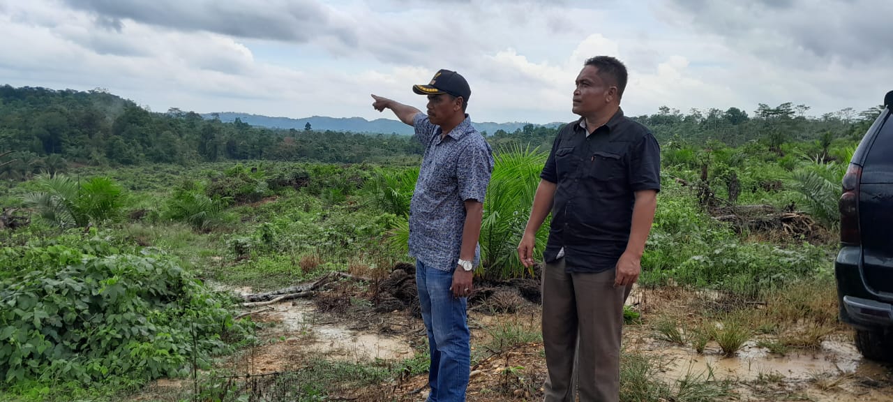 Ratusan hektar perkebunan warga di Langkahan, Aceh Utara dijadikan plasma Ratusan hektar perkebunan warga di Langkahan, Aceh Utara dijadikan plasma