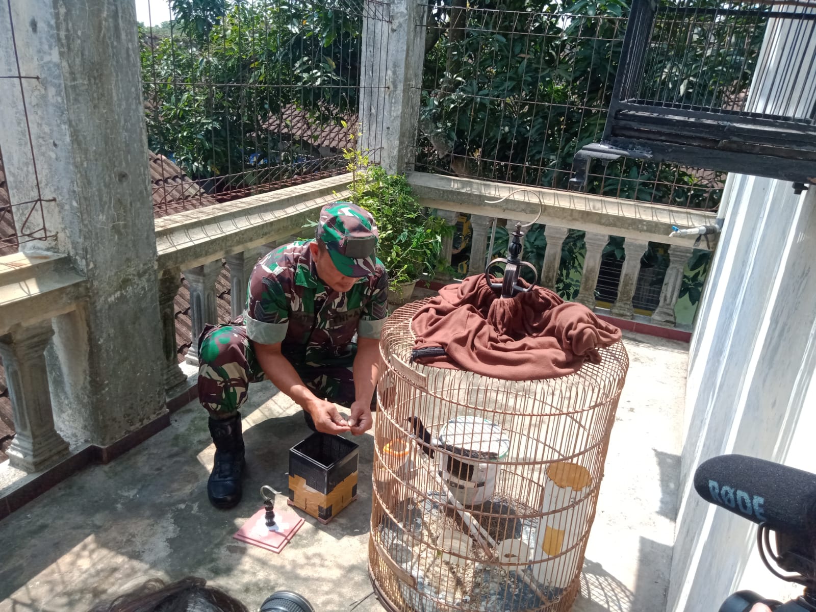 Babinsa Boyolali sukses ternak burung kicau, edukasi warga ciptakan usaha Babinsa Boyolali sukses ternak burung kicau, edukasi warga ciptakan usaha