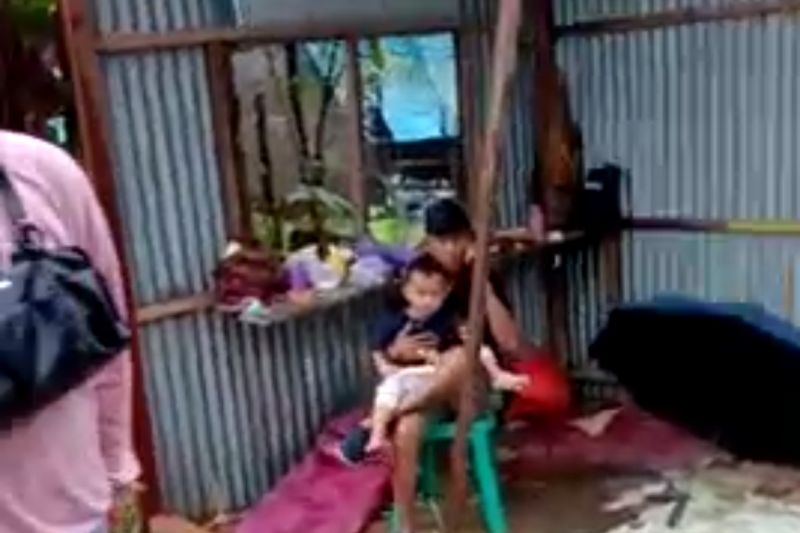 Pohon tumbang timpa 3 mobil dan rumah di Sulsel