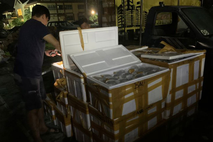 Polisi telusuri jaringan penyelundup ratusan terumbu karang di Bima Polisi telusuri jaringan penyelundup ratusan terumbu karang di Bima