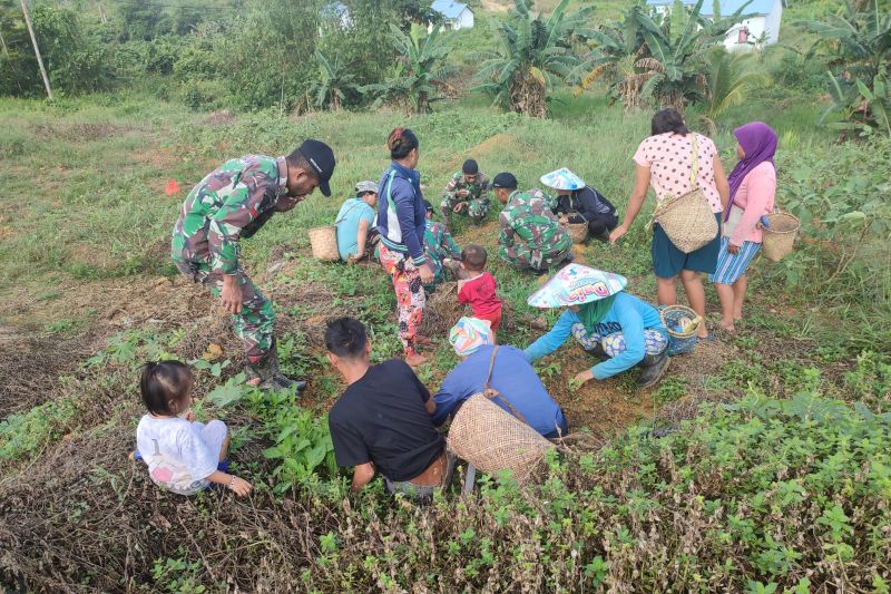 TNI perbatasan bantu warga berkebun sayur untuk ketahanan pangan TNI perbatasan bantu warga berkebun sayur untuk ketahanan pangan