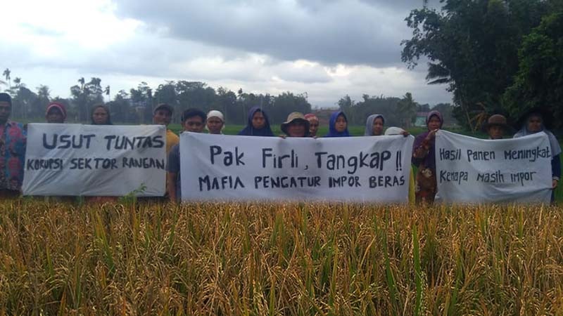 Kecewa dengan impor beras, ini permintaan petani ke KPK Kecewa dengan impor beras, ini permintaan petani ke KPK