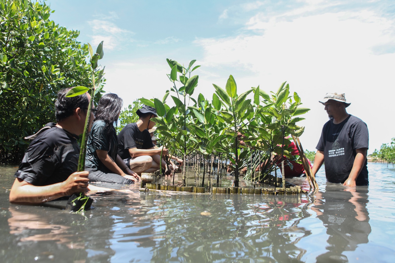 Dorong kelestarian lingkungan, PT Mustika Ratu Tbk (MRAT) menanam 1000 mangrove Dorong kelestarian lingkungan, PT Mustika Ratu Tbk (MRAT) menanam 1000 mangrove