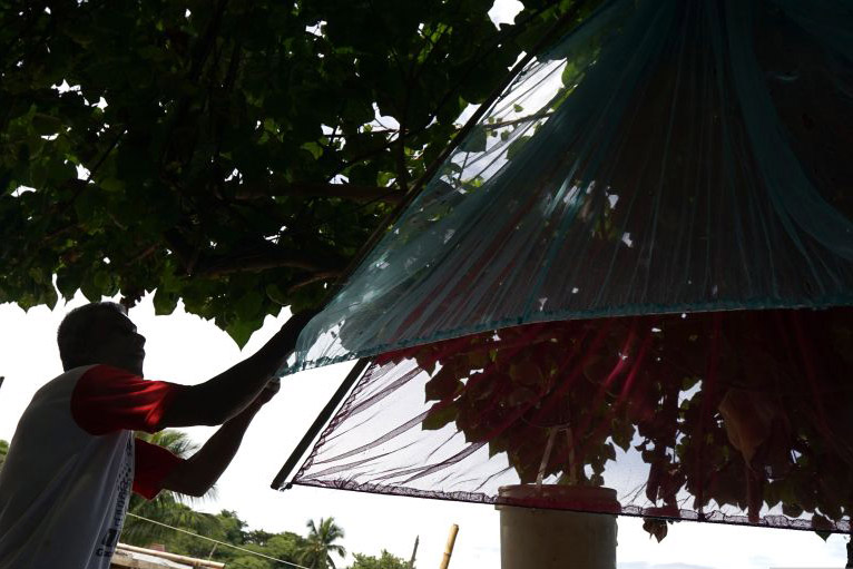 Harga ikan segar di Gorontalo naik