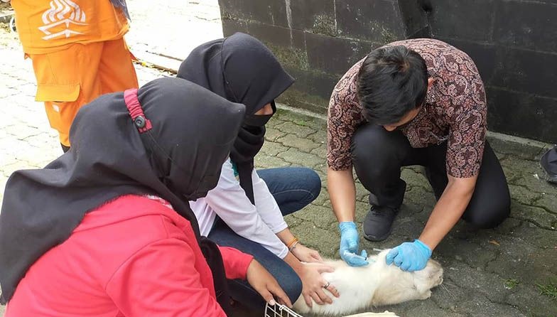 Legislator DKI tekankan larangan eksploitasi hewan penular rabies Legislator DKI tekankan larangan eksploitasi hewan penular rabies