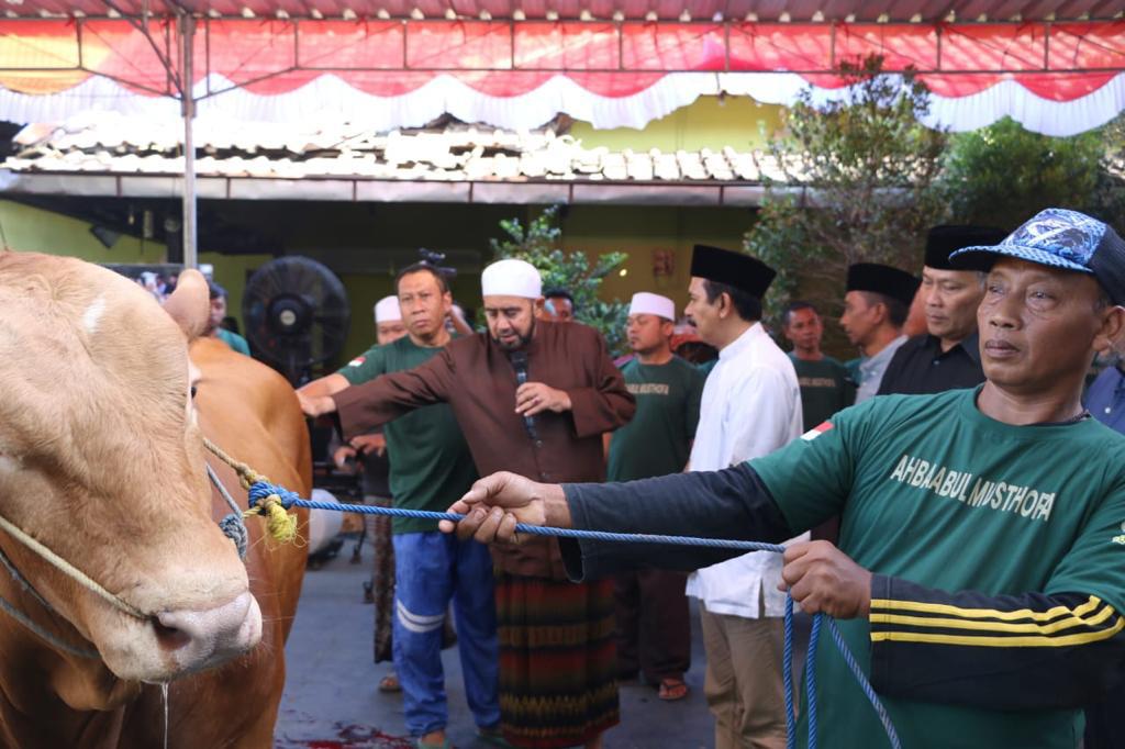 Habib Syech pimpin langsung pemotongan sapi kurban dari Prabowo Habib Syech pimpin langsung pemotongan sapi kurban dari Prabowo