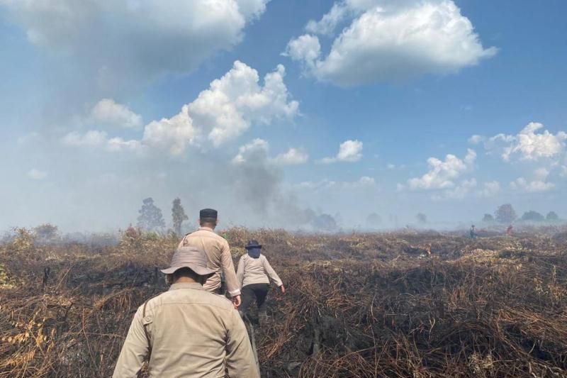 Petugas gabungan di Riau padamkan karhutla di Desa Teluk Bano Petugas gabungan di Riau padamkan karhutla di Desa Teluk Bano