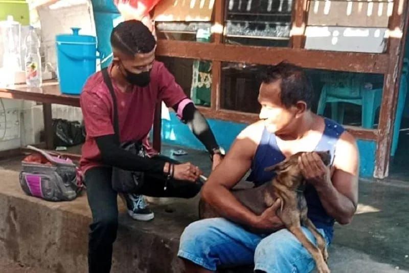 Dokter imbau warga digigit anjing segera disuntik VAR Dokter imbau warga digigit anjing segera disuntik VAR
