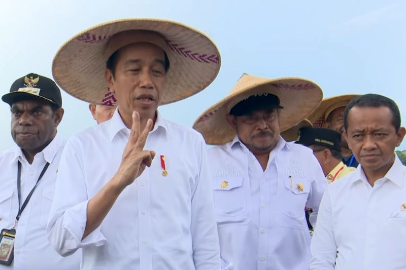 Presiden puji hasil panen jagung Keerom tapi evaluasi pengelolaan air Presiden puji hasil panen jagung Keerom tapi evaluasi pengelolaan air