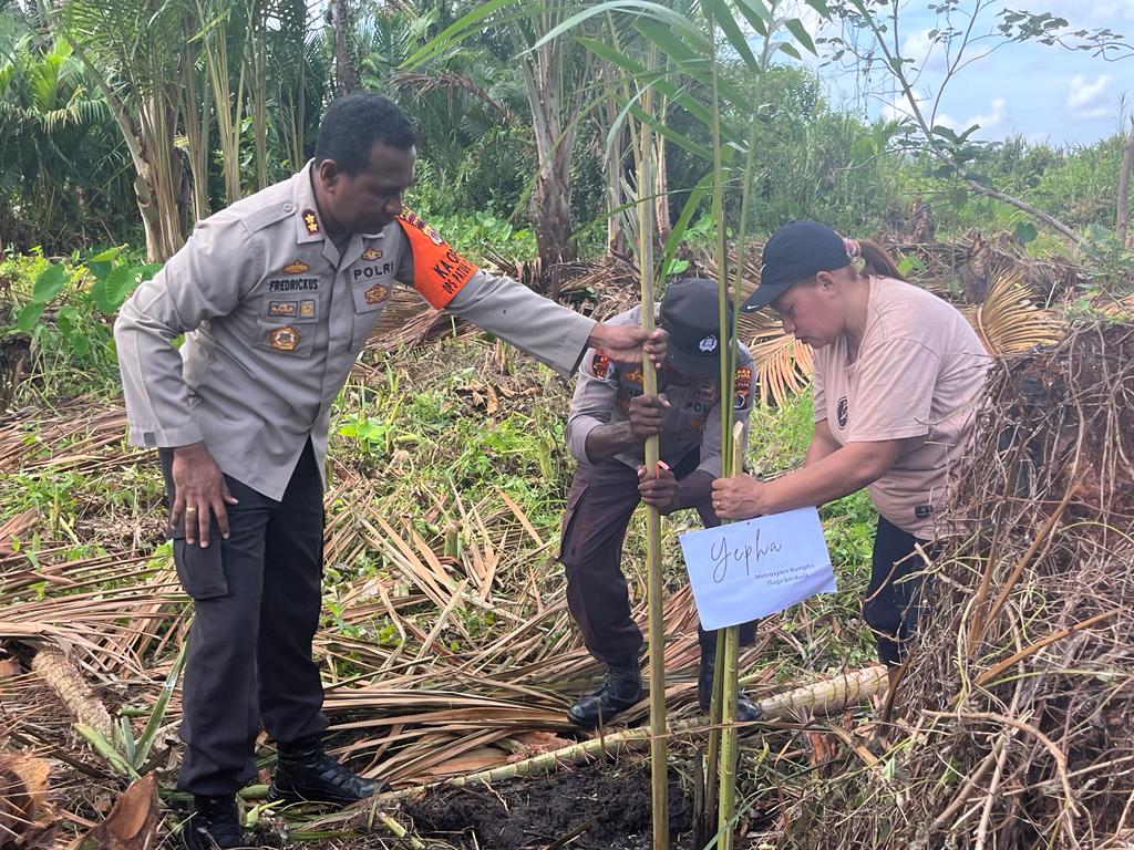 15 pasangan pra nikah anggota Polres Jayapura tanam pohon sagu 15 pasangan pra nikah anggota Polres Jayapura tanam pohon sagu