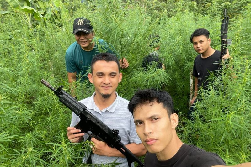 Polisi temukan ladang ganja 1,5 hektare di Kabupaten Rejang Lebong Polisi temukan ladang ganja 1,5 hektare di Kabupaten Rejang Lebong
