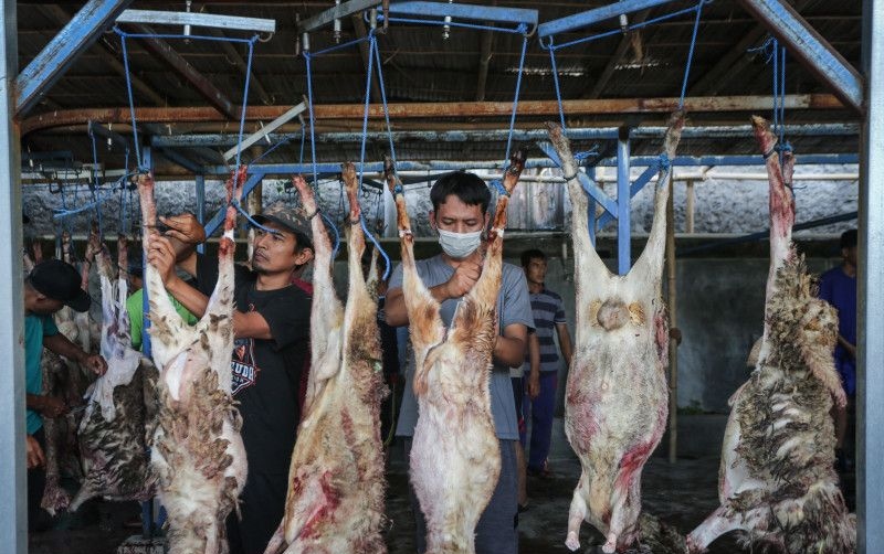 Wanita hamil disarankan tidak konsumsi daging kambing berlebihan