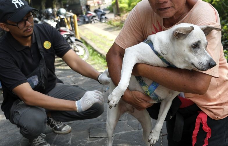 Dokter hewan tekankan pentingnya vaksinasi untuk cegah rabies Dokter hewan tekankan pentingnya vaksinasi untuk cegah rabies