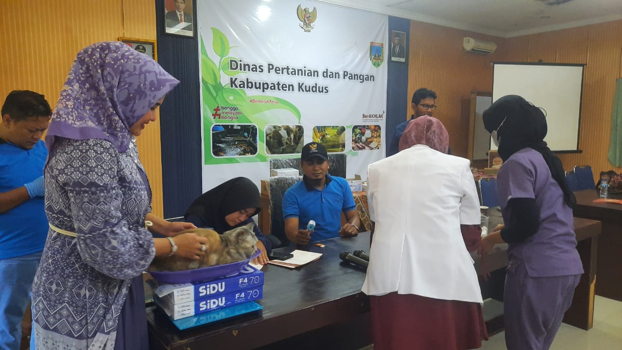 200an kucing dan anjing di Kudus disuntik rabies