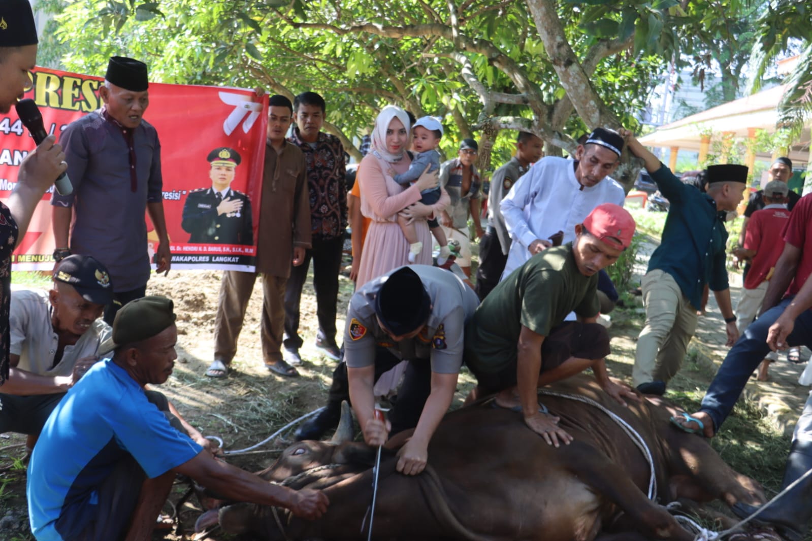 Kapolres Langkat sembelih hewan kurban Presisi Idul Adha Kapolres Langkat sembelih hewan kurban Presisi Idul Adha