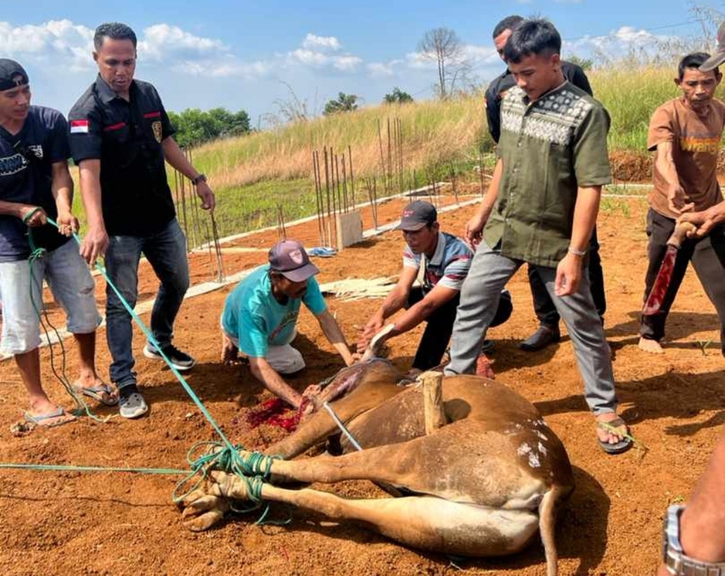Rayakan Idul Adha, KBMTR gelar silaturahmi dan pemotongan hewan kurban