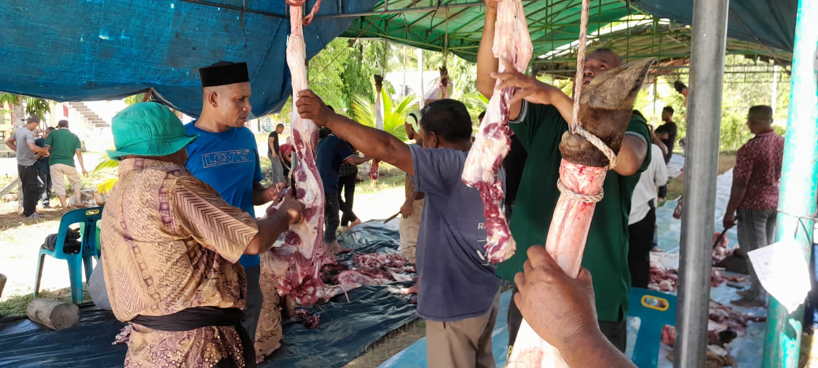 Idul Adha 1444 H, Kemesjidan Sirajul Al-Muklisin Punti sembelih 11 ekor sapi dan 6 kambing kurban Idul Adha 1444 H, Kemesjidan Sirajul Al-Muklisin Punti sembelih 11 ekor sapi dan 6 kambing kurban