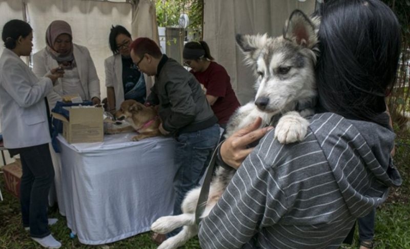 Pemprov Jawa Barat siapkan lima langkah antisipasi cegah kasus rabies