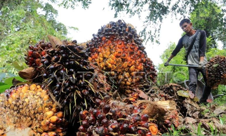 Indonesia dan Malaysia sepakat bentuk satgas implementasi EUDR