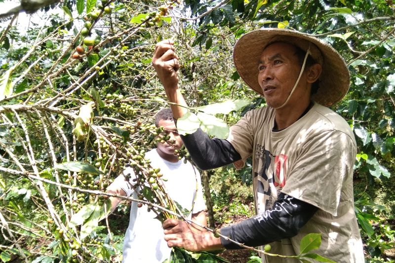Dukungan Danone Aqua untuk petani kopi dan konservasi air