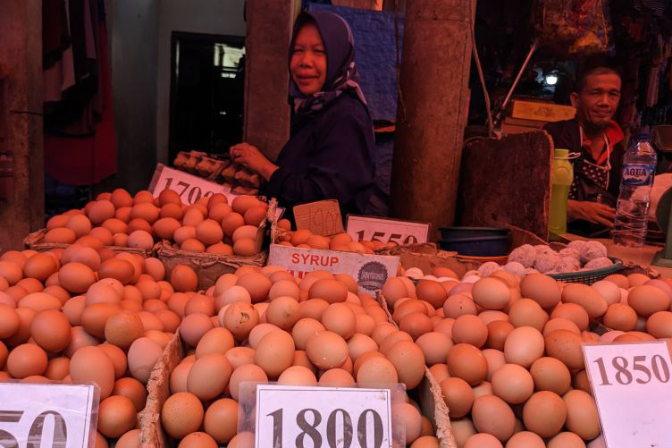Pedagang telur ayam di Medan menjerit akibat tingginya harga Pedagang telur ayam di Medan menjerit akibat tingginya harga