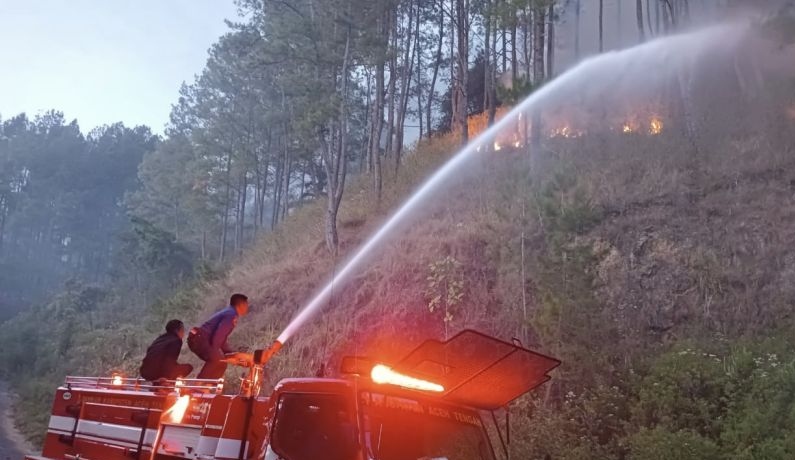 Api lalap hutan seluas lima hektar di Aceh Tengah Api lalap hutan seluas lima hektar di Aceh Tengah