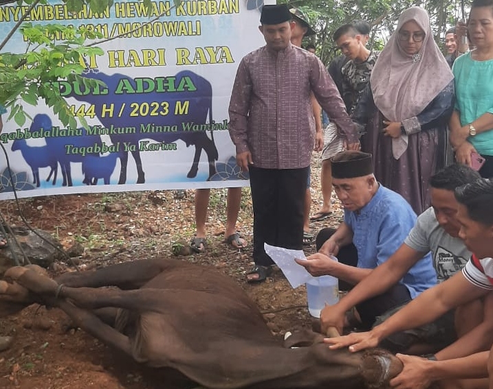 Idul Adha, Kodim 1311/Morowali potong 7 ekor sapi dan 1 ekor kambing 